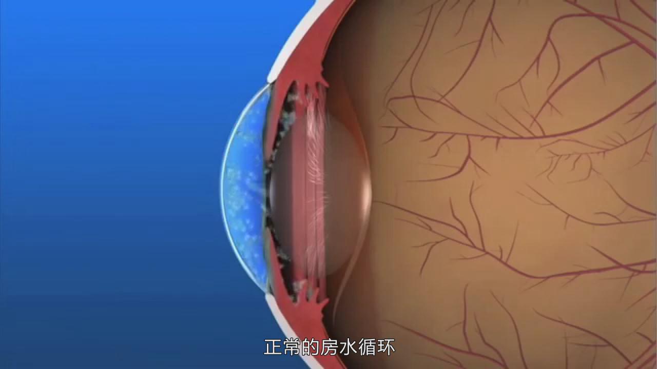 &#20339;&#21338;&#23448;&#26041;&#32593;&#39029;&#29256;&#45;&#20339;&#21338;&#65288;&#20013;&#22269;&#65289;