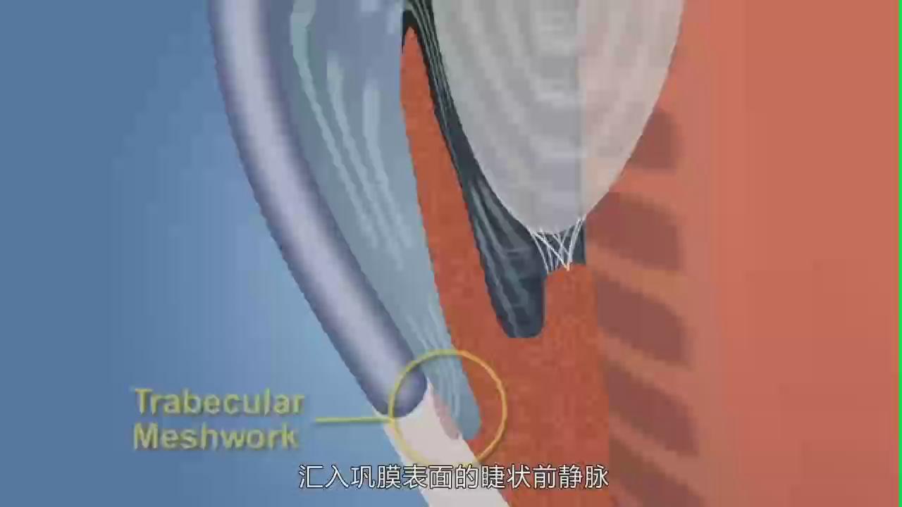 &#20339;&#21338;&#23448;&#26041;&#32593;&#39029;&#29256;&#45;&#20339;&#21338;&#65288;&#20013;&#22269;&#65289;